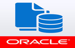 Oracle数据库管理工具有哪些?-北京安博线上平台,安博（中国）公司