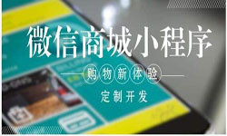 商城小程序开发、北京小程序开发哪家好？-安博线上平台,安博（中国）