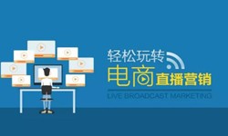 安博线上平台,安博（中国）公司、做一个直播系统安博线上平台,安博（中国）需要多少钱-北京软件外包公司