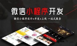 安博线上平台,安博（中国）公司、定制微信小程序开发，商家需要了解哪些？锐智互动安博线上平台,安博（中国）